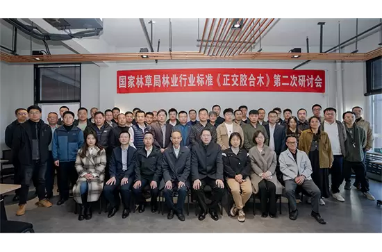 行业标准再升级！零界集团承办“国家林草局林业行业标准《正交胶合木》研讨会“，共促行业规范发展！